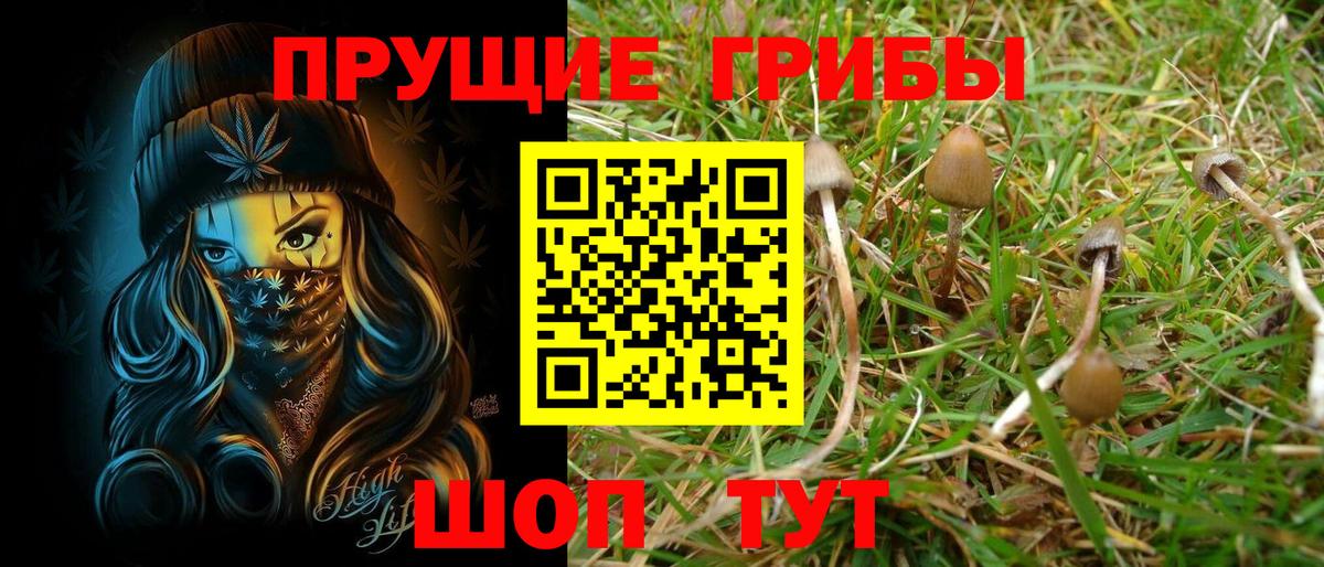 Псилоцибиновые грибы Psilocybe  Вход с VPN  Псилоцибиновые грибы Psilocybine cubensis  Александров 